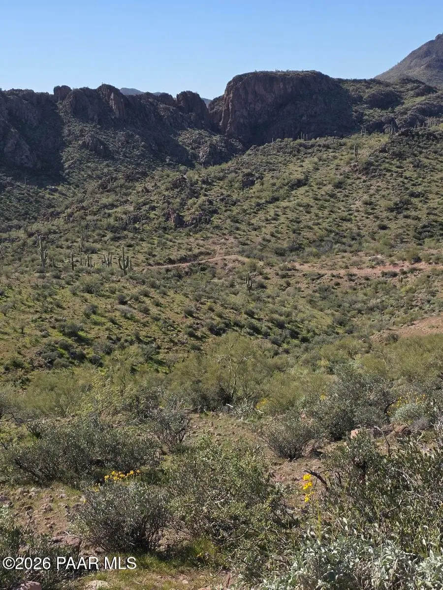 39801 S Bitter Creek Lane, Morristown, AZ 85342 - #3