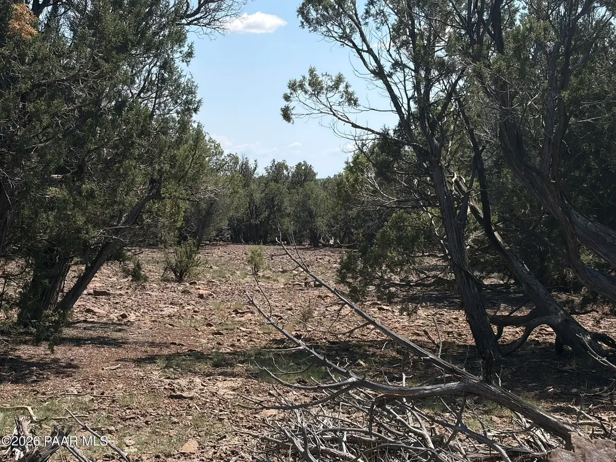 00 Nw Nine Shooter Road, Williams, AZ 86046 - #1
