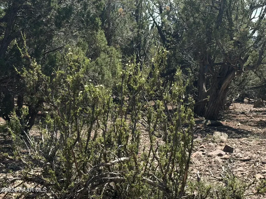 00 Nw Nine Shooter Road, Williams, AZ 86046 - #2