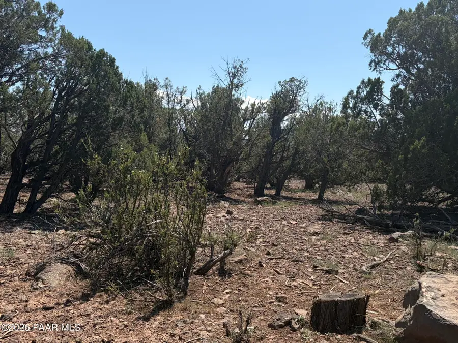 00 Nw Nine Shooter Road, Williams, AZ 86046 - #3