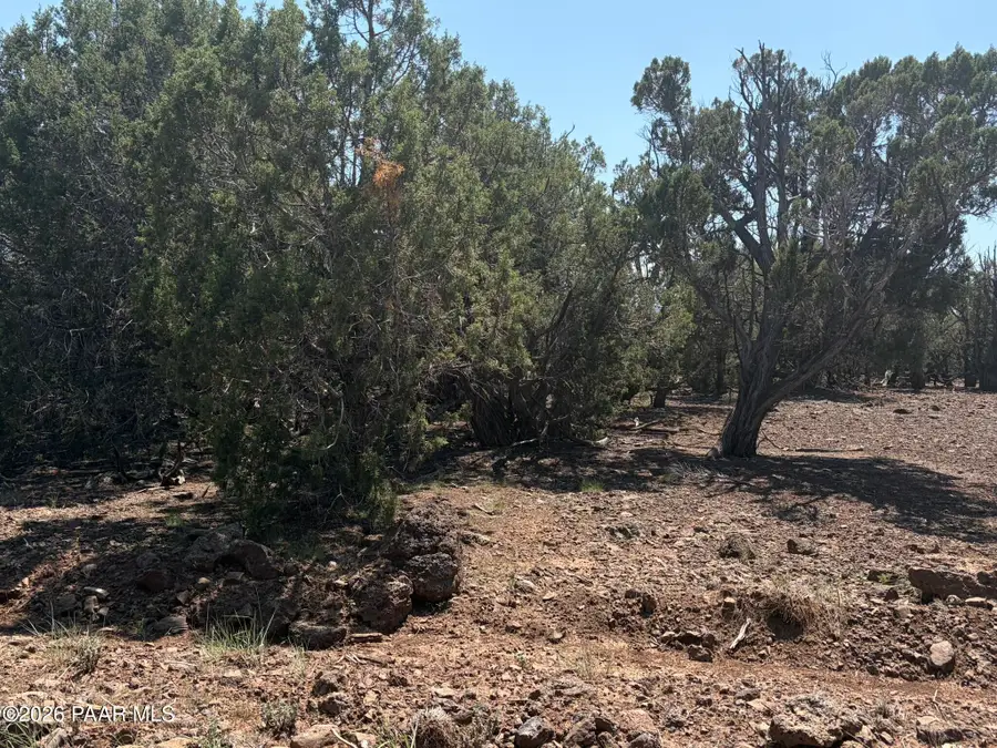 00 Ne Nine Shooter Road, Williams, AZ 86046 - #2