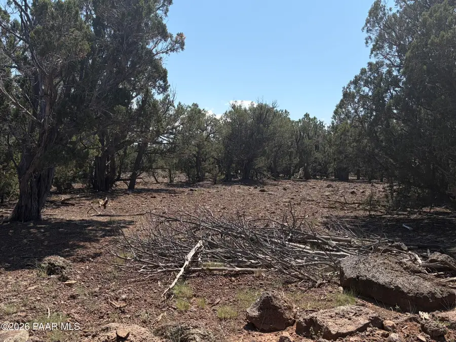 00 Ne Nine Shooter Road, Williams, AZ 86046 - #3