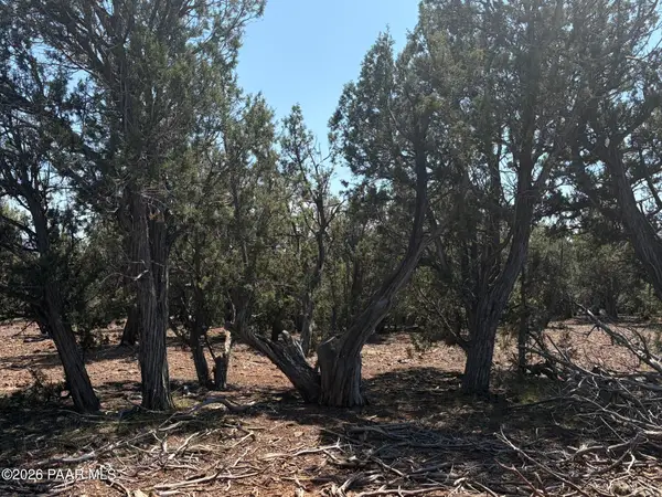 00 Sw Nine Shooter Road, Williams, AZ 86046