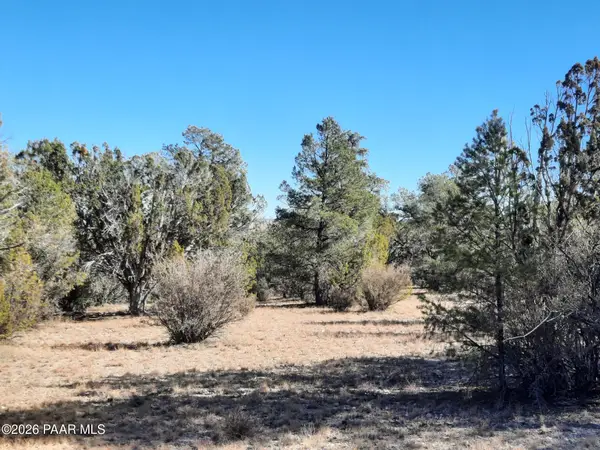 074 Off Denny 5 Road, Seligman, AZ 86337