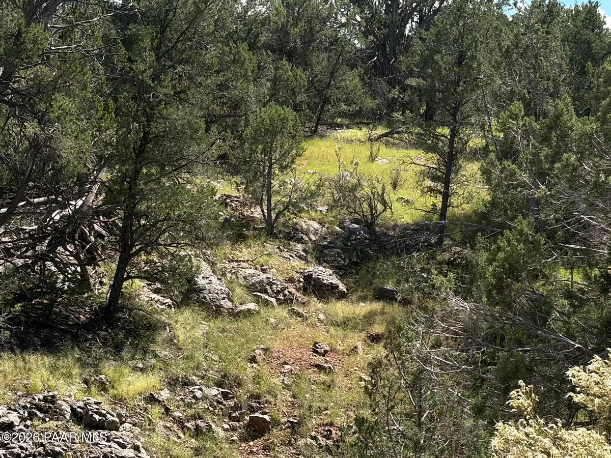 Lot 2475 Potrero Parkway, Seligman, AZ 86337 - #1