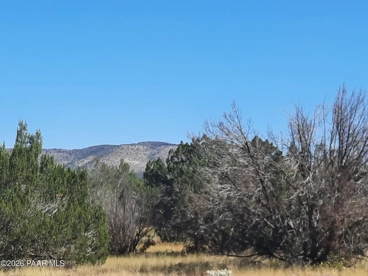 Lot 1371 Last Chance Road, Seligman, AZ 86337 - #1