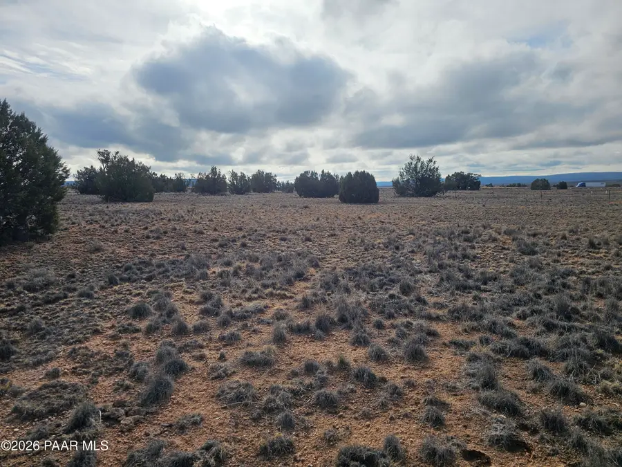 27565 W Fort Rock Road, Seligman, AZ 86337 - #2