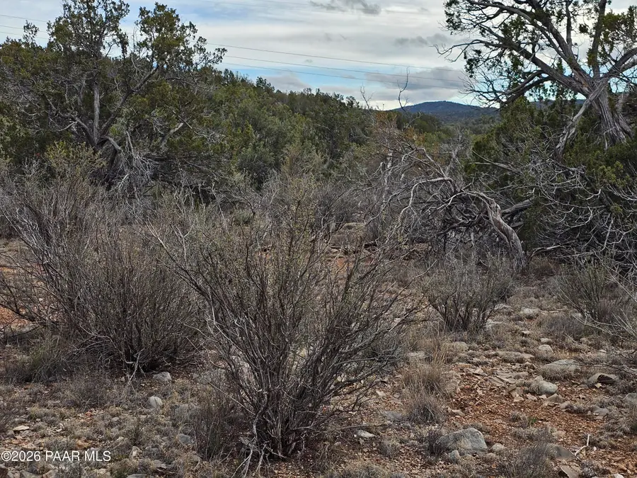 32667 W Conejo Road, Seligman, AZ 86337 - #2