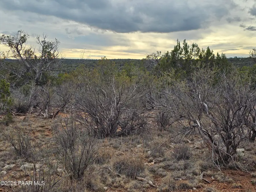 32667 W Conejo Road, Seligman, AZ 86337 - #3