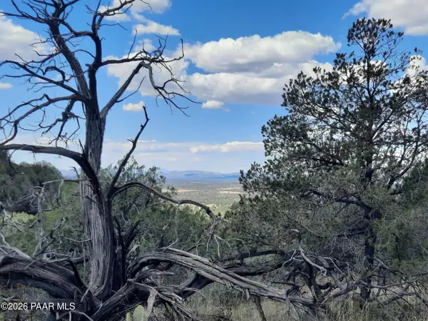 Lot 814 W Peaceful View Trail, Seligman, AZ 86337