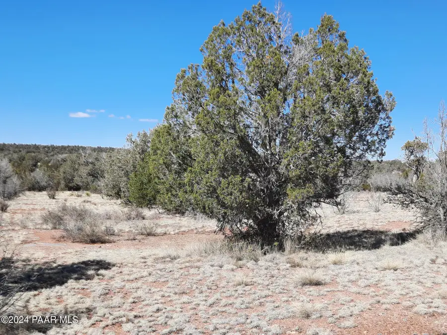 31322 W Sunset Drive, Seligman, AZ 86337 - #3