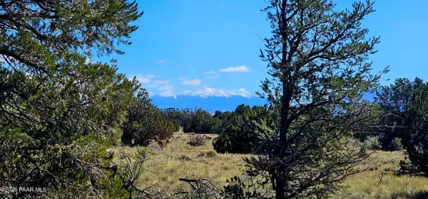 2894 S Bluebell Road, Williams, AZ 86046
