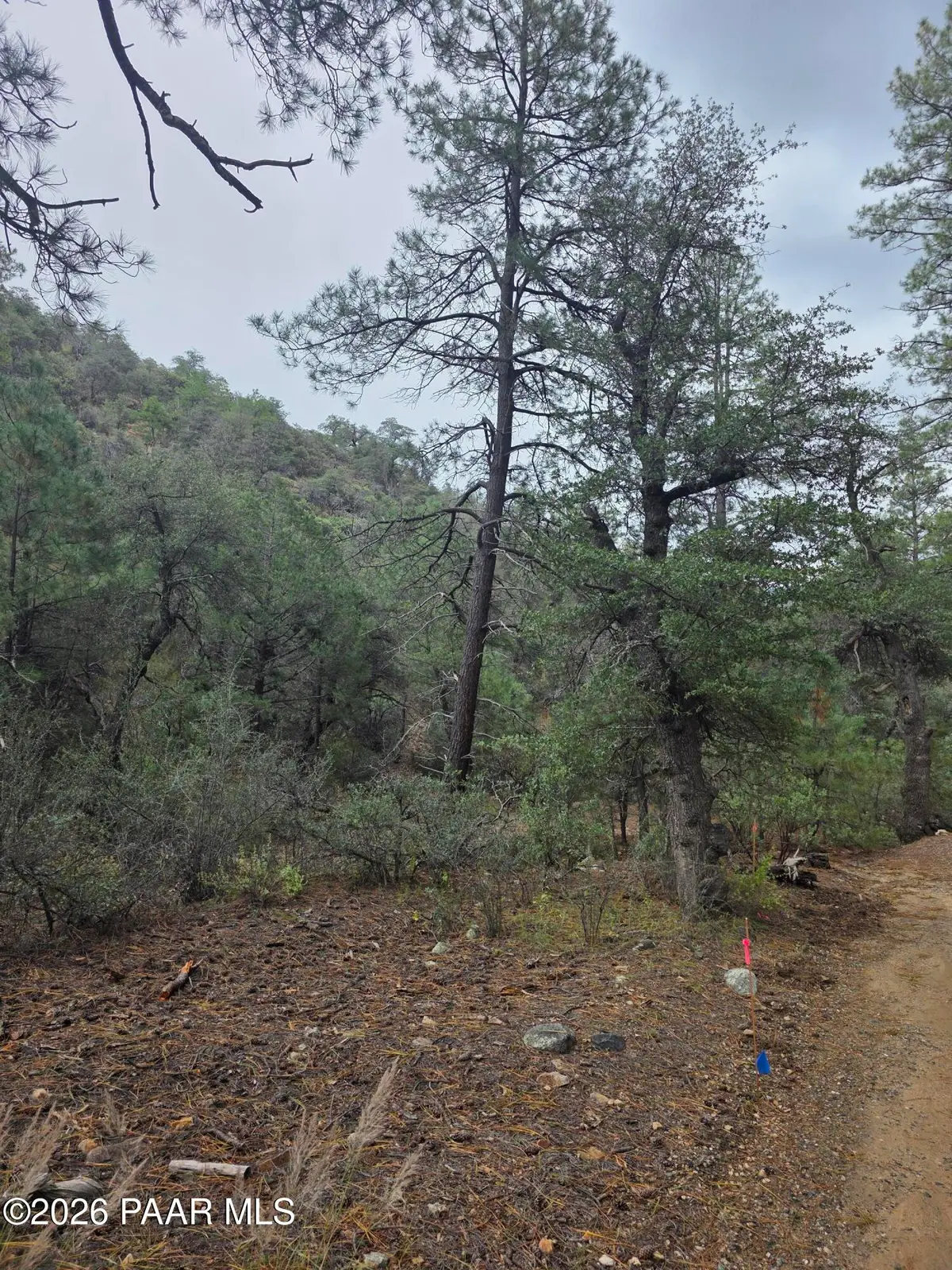 3010 W Fs73, Prescott, AZ 86303 - #1