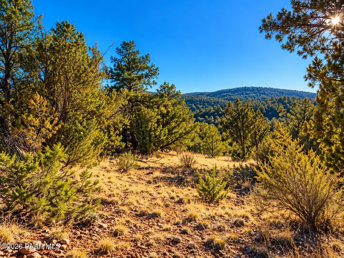 51804 N Cordero Road, Seligman, AZ 86337 - #1