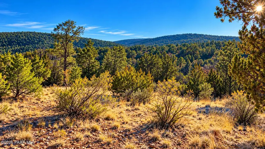 51804 N Cordero Road, Seligman, AZ 86337 - #2