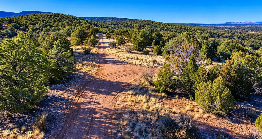 51804 N Cordero Road, Seligman, AZ 86337 - #3