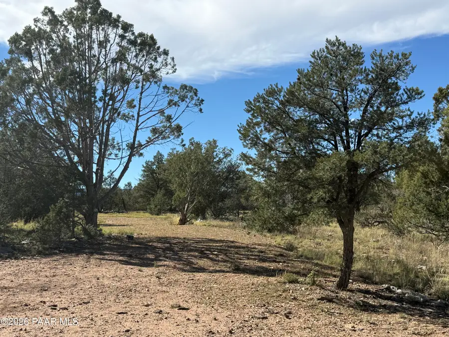 54697 N Echo Lane, Seligman, AZ 86337 - #2