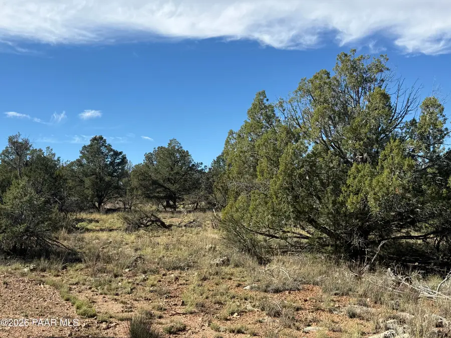 54697 N Echo Lane, Seligman, AZ 86337 - #3