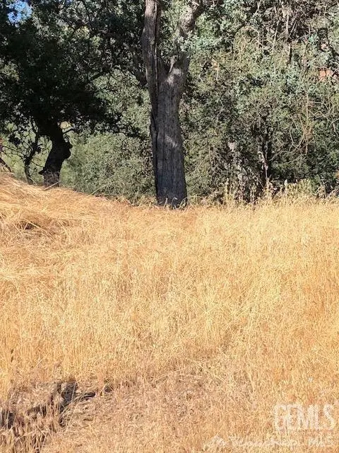#2