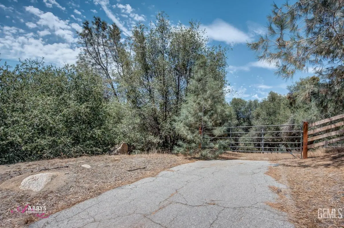 28060 CARLYLE SPRINGS ROAD, Keene, CA 93531 - #1