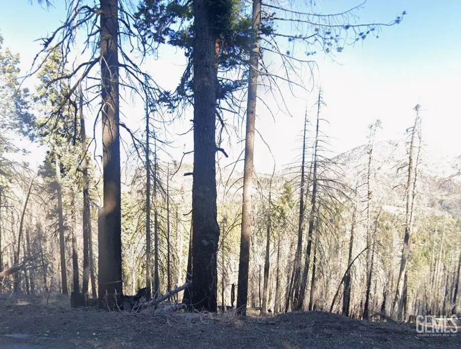 0 HOLLY DRIVE, Wofford Heights, CA 93285 - Image #1