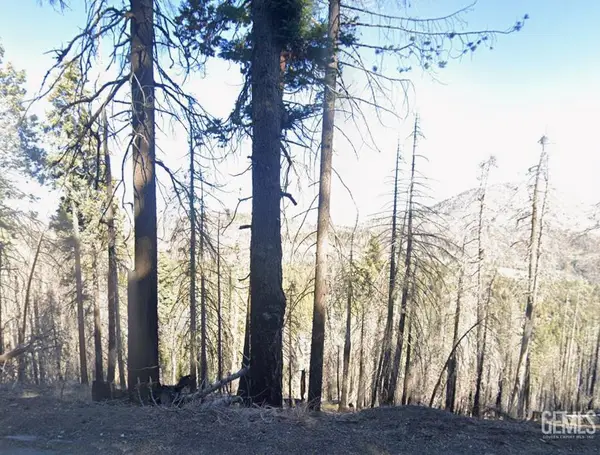 0 HOLLY DRIVE, Wofford Heights, CA 93285