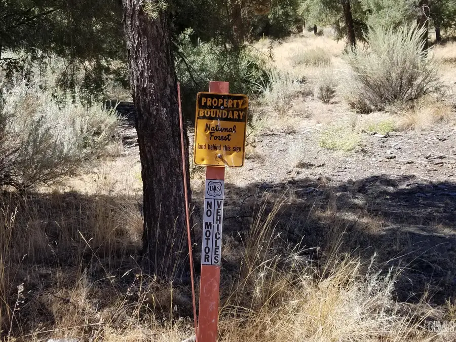 1912 IRONWOOD DRIVE, Pine Mountain Club, CA 93222 - Image #3