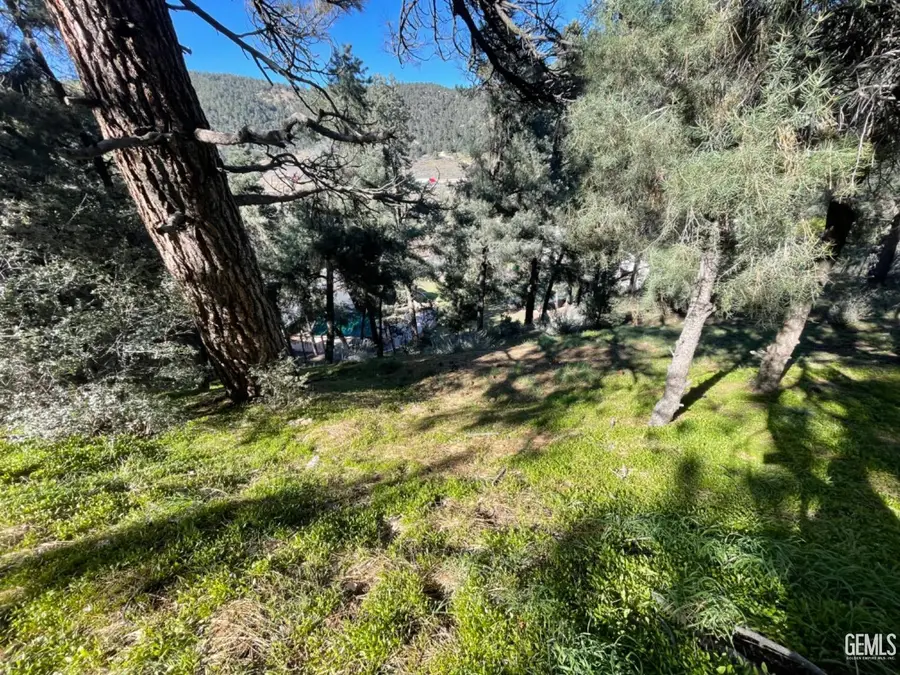 1400 PINETREE DRIVE, Frazier Park, CA 93225 - Image #2