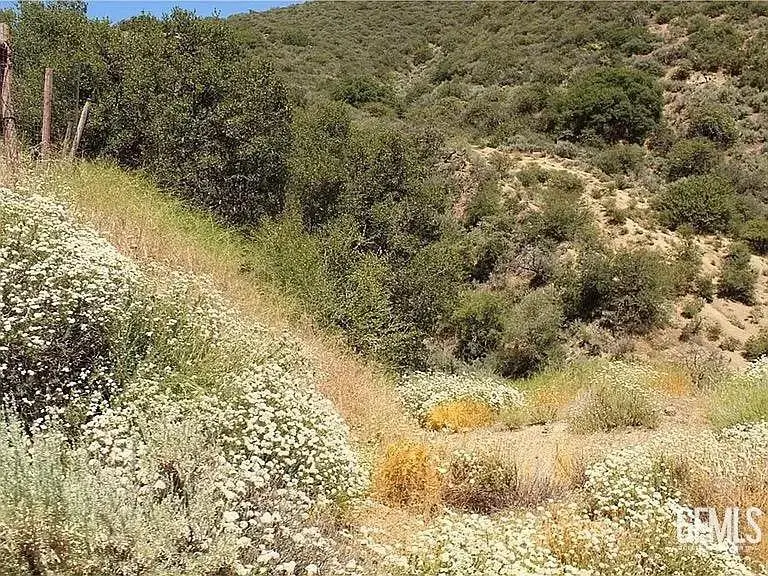 17930 MOUNTAIN CLIMBER WAY, Tehachapi, CA 93561 - Image #2