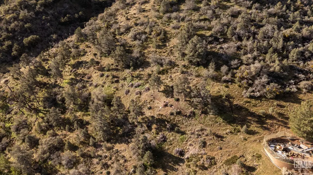 0 FRAZIER PARK, Frazier Park, CA 93225 - #1