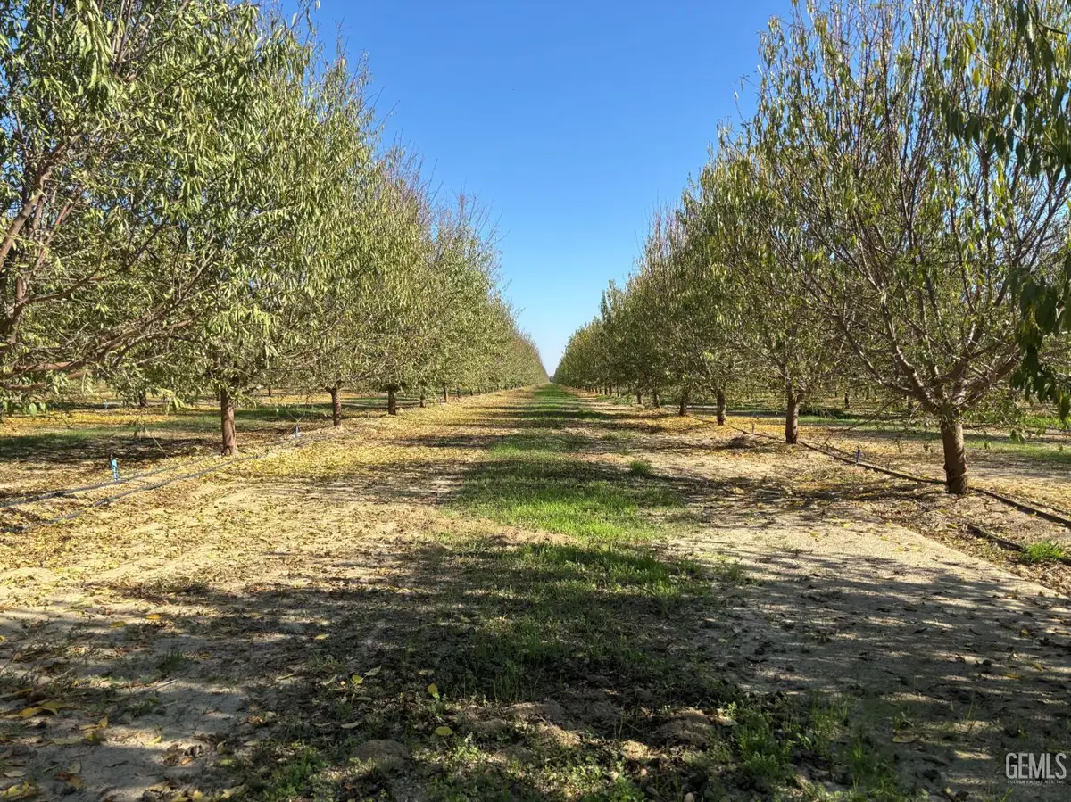 0 KIMBERLINA ROAD, Wasco, CA 93280 - Image #1