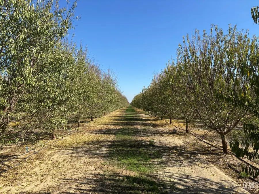 0 KIMBERLINA ROAD, Wasco, CA 93280 - Image #2