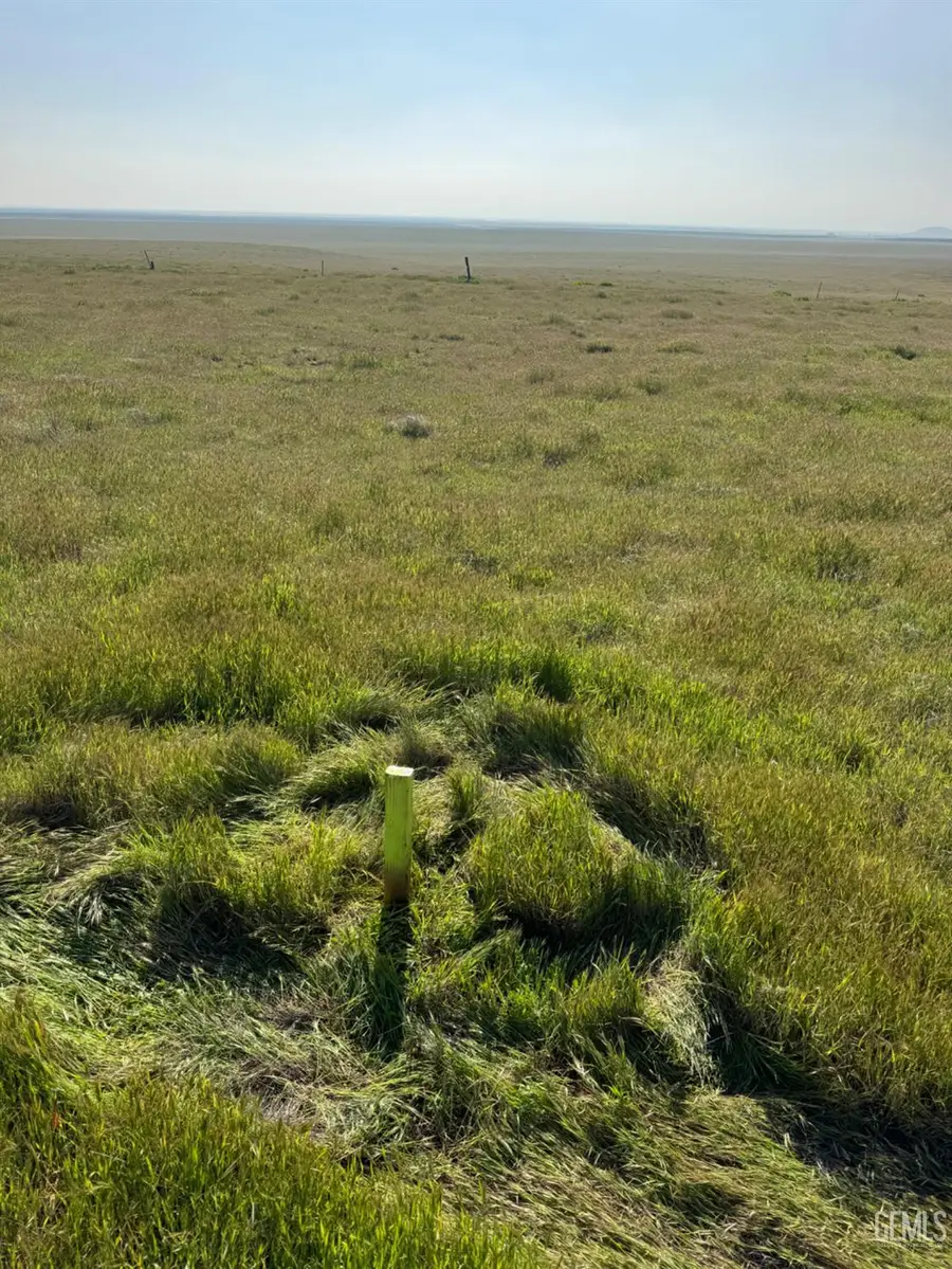 0 TWISSELMAN ROAD, Lost Hills, CA 93249 - #2