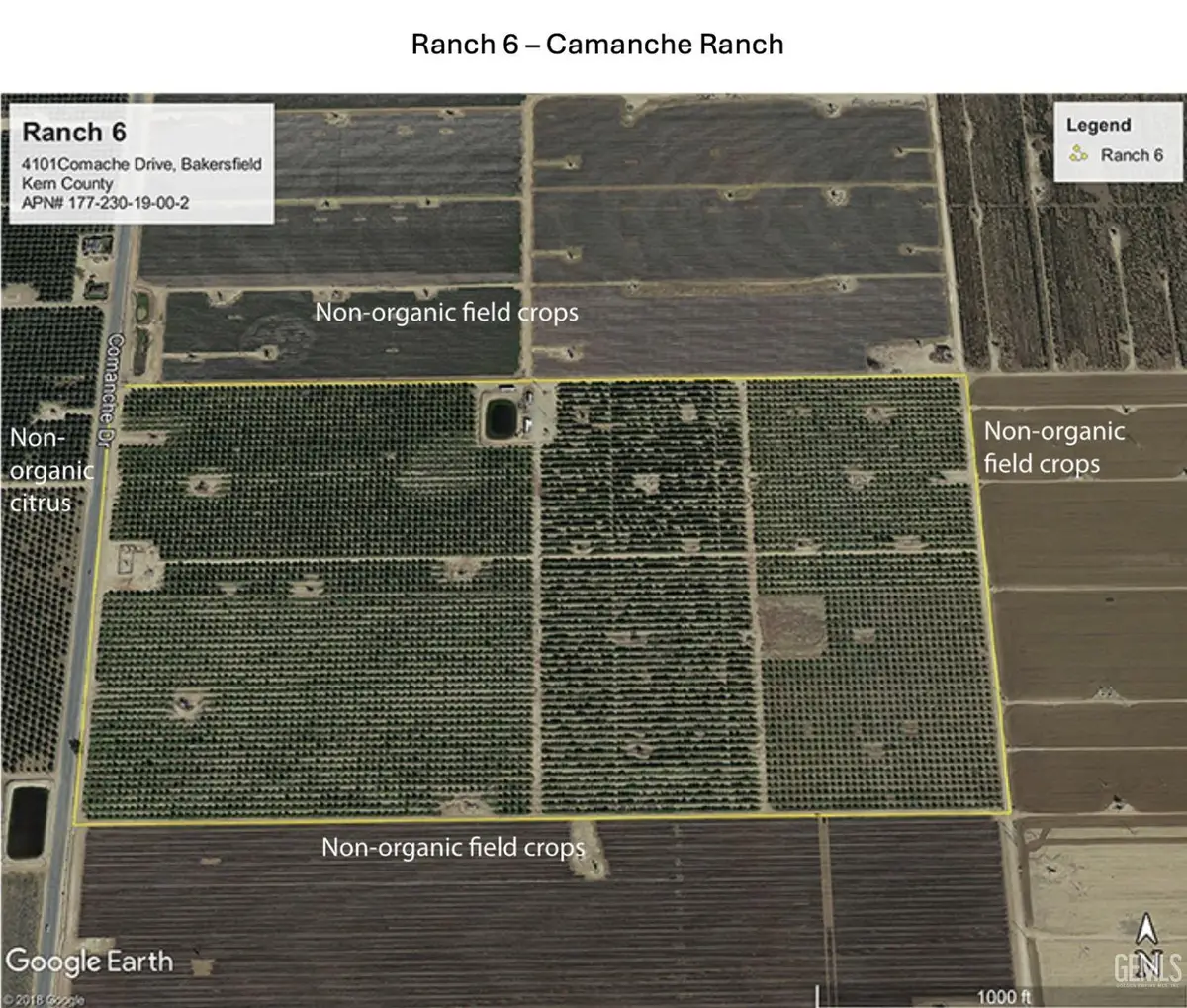 0 COMANCHE 80AC ORGANIC NAVELS, Bakersfield, CA 93307 - #1