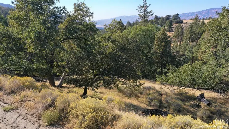 16851 INTERLAKEN STREET, Tehachapi, CA 93561 - #2