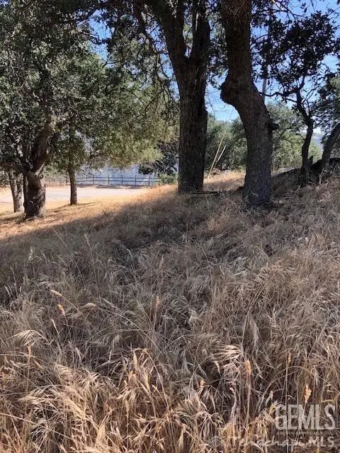 25900 DERRICK COURT, Tehachapi, CA 93561 - #3