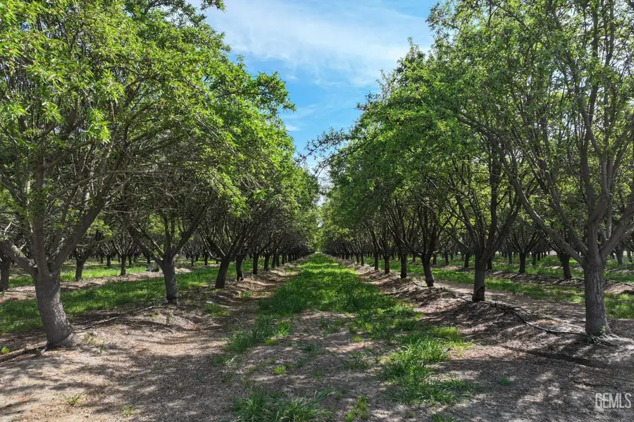 0 AVENUE 152, Porterville, CA 93257 - #2