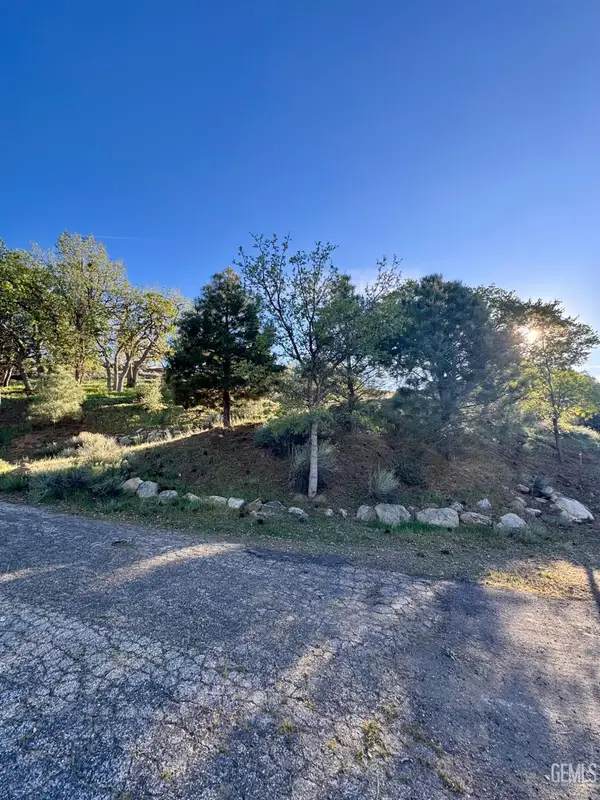 157 LUSANNE CT #157, Tehachapi, CA 93561