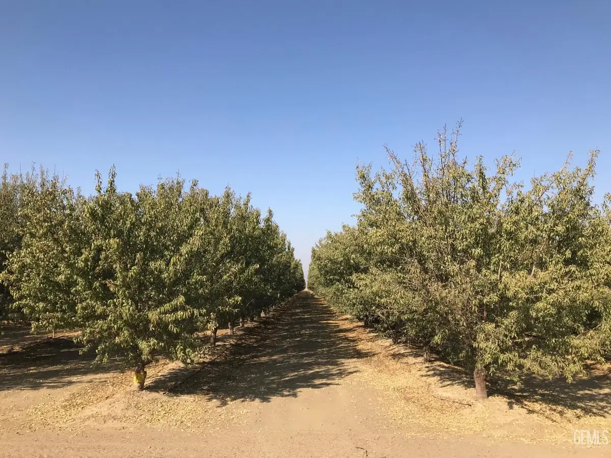 0 SCHALLOCK ROAD, Bakersfield, CA 93311 - #1