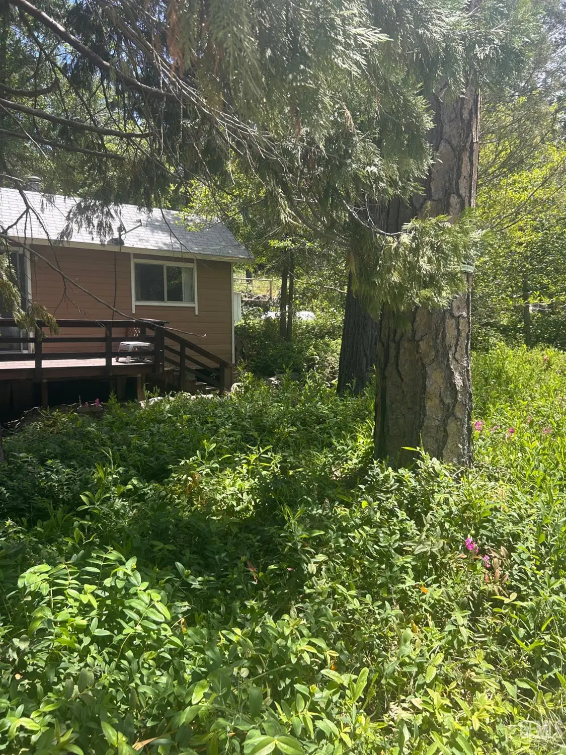 42748 YELLOW PINE LANE, Posey, CA 93260 - #1