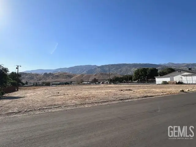 3520 WAGON WHEEL & GOLDEN SPUR LOTS, Lake Isabella, CA 93240 - #2
