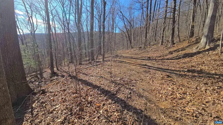 12 Old Mountain Rd #12, Stanardsville, VA 22973 - Image #2