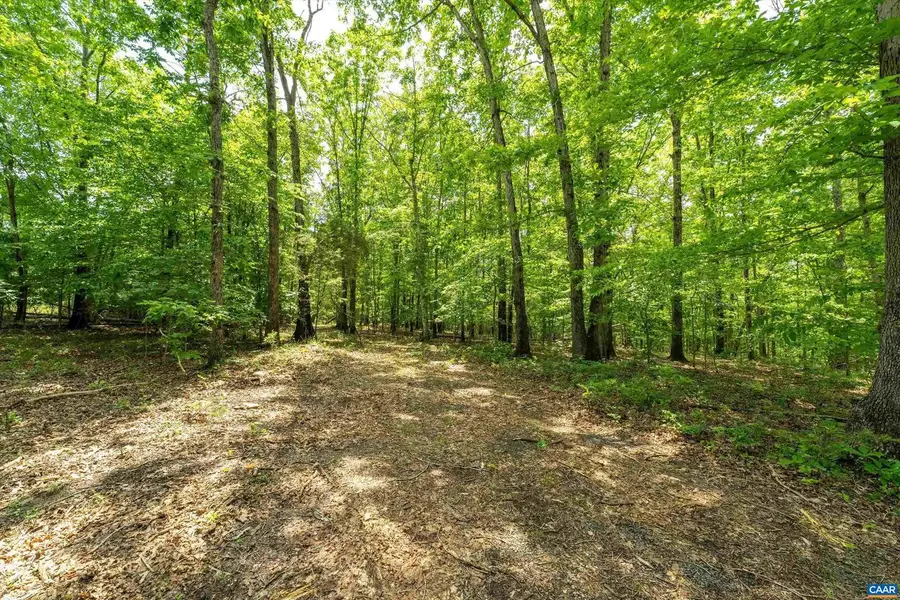 1309 Salem Rd #1, Schuyler, VA 22969 - Image #2