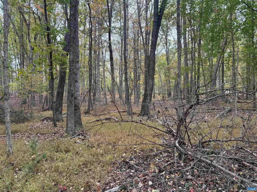 Saint John Rd, Gordonsville, VA 22942 - Image #2