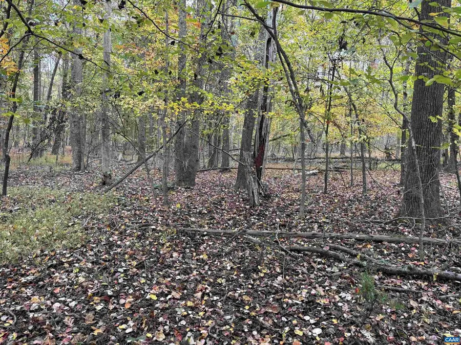 Saint John Rd, Gordonsville, VA 22942 - Image #3