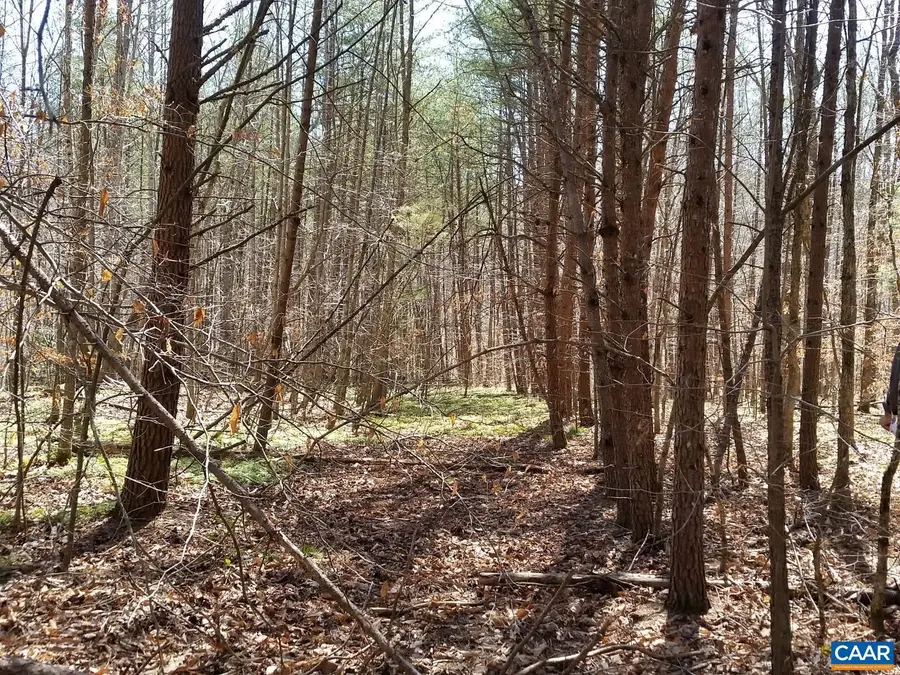 2647 Penny Ln, Charlottesville, VA 22901 - Image #2