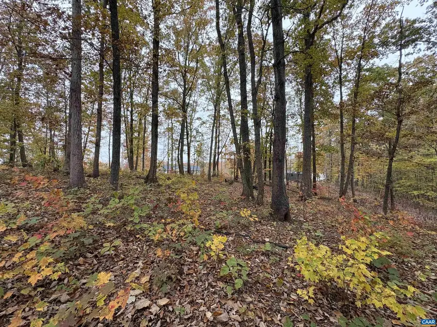 Tbd W 8th St, Mineral, VA 23117 - Image #2