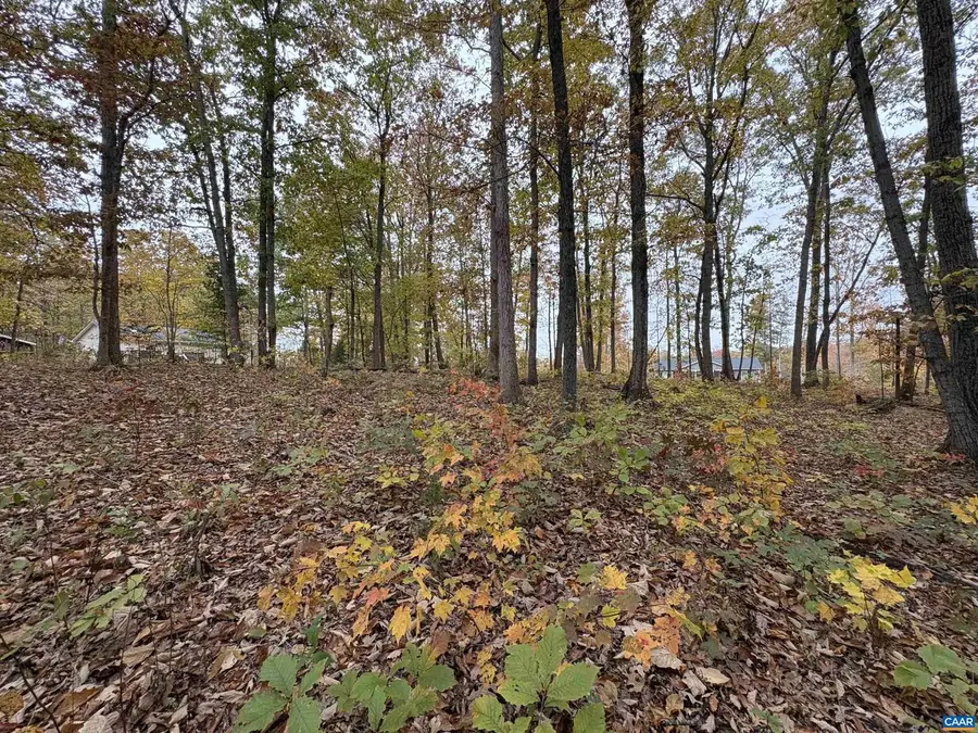 Tbd W 8th St, Mineral, VA 23117 - Image #3