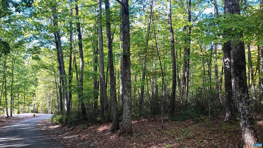 0 Oakcrest Ln #3, Nellysford, VA 22958 - Image #3