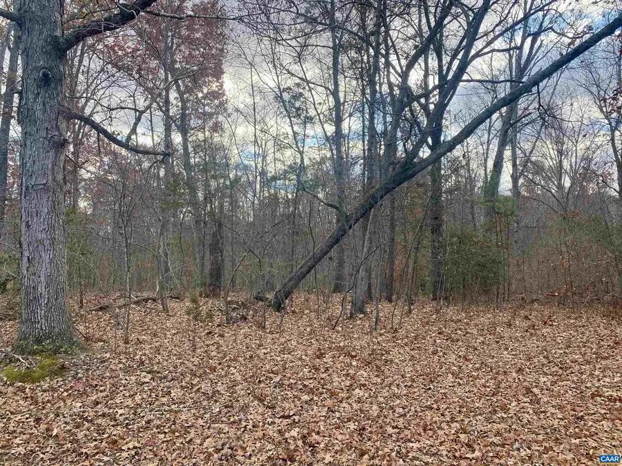 0 Charles Ln, Louisa, VA 23093 - Image #3
